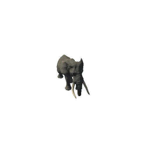 elephant_ii_sv_rm (2)